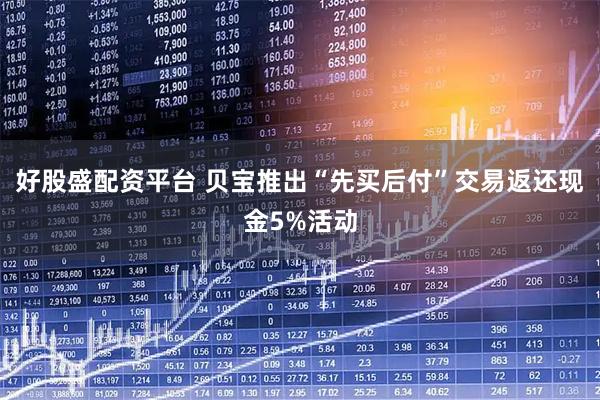 好股盛配资平台 贝宝推出“先买后付”交易返还现金5%活动