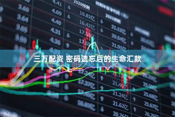 三万配资 密码遗忘后的生命汇款