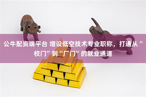公牛配资端平台 增设低空技术专业职称，打通从“校门”到“厂门”的就业通道